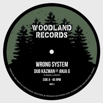 Wrong System by Dub Kazman