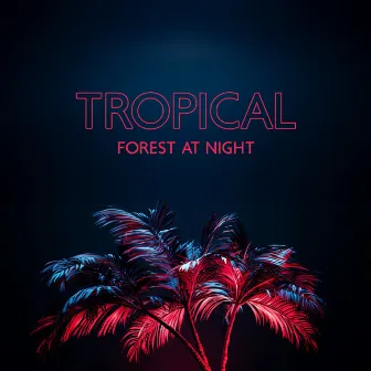 Tropical Forest At Night – Owls, Rain, Crickets, Wind: 432 De-Stress Hertz, Nervous System Calmness, Soul Pleasure by Nature's Beauty