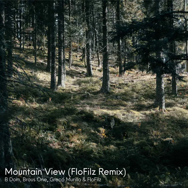 Mountain View - FloFilz Remix