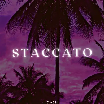 STACCATO by Dash