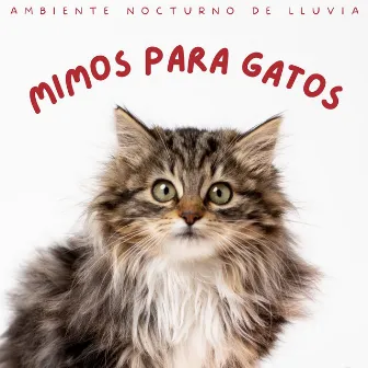 Mimos Para Gatos: Ambiente Nocturno De Lluvia by Deja que llueva