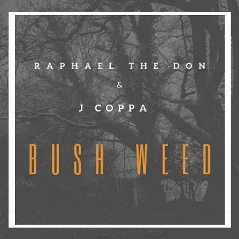 Bush Weed by J Coppa