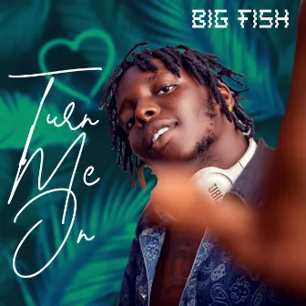 Turn Me On by Big Fish