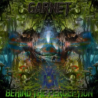 Behind The Perception by Garnet