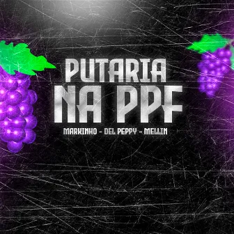 Putaria na Ppf by Unknown Artist