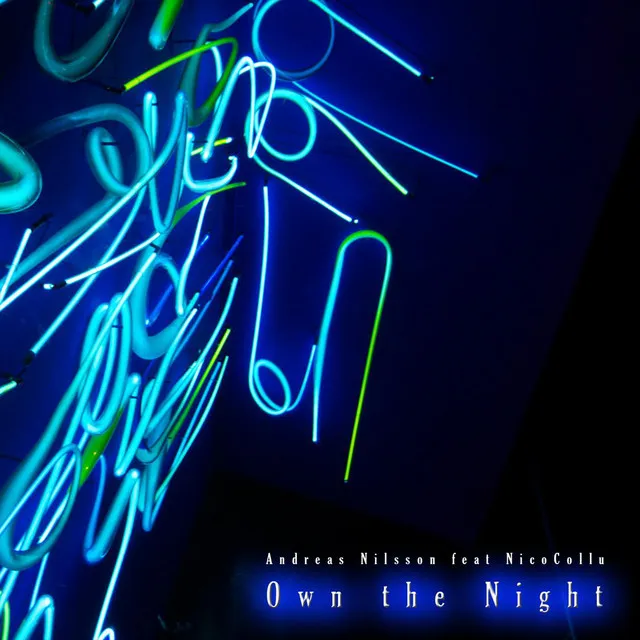 Own The Night (feat. NicoCollu)