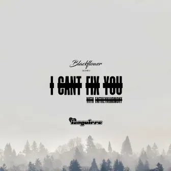 I CANT FIX YOU by Izaguirre