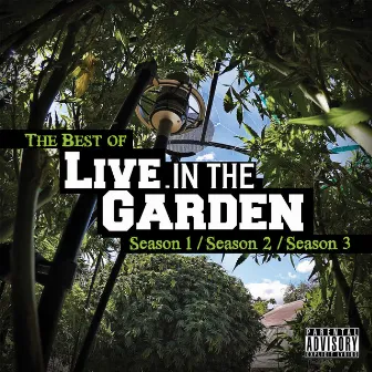 The Best of Live in the Garden by Mendo Dope