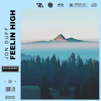 Feelin High by Sui Generis Collective