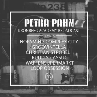 Kronberg Academy Broadcast by PETRA PAHN