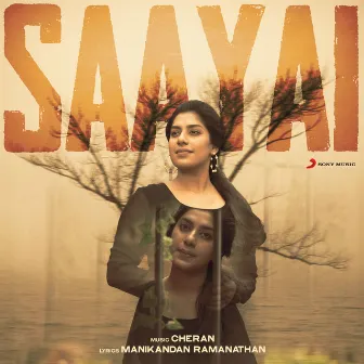 Saayai by Cheran