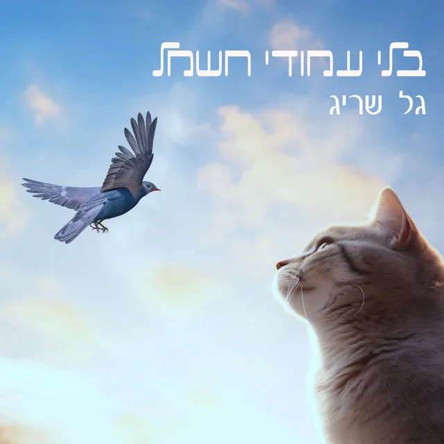 בלי עמודי חשמל