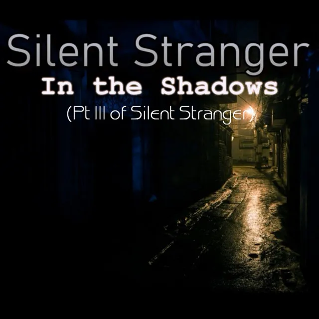 In the Shadows (Pt III of Silent Stranger)