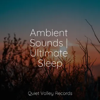 Ambient Sounds | Ultimate Sleep by Relaxing Mindfulness Meditation Relaxation Maestro