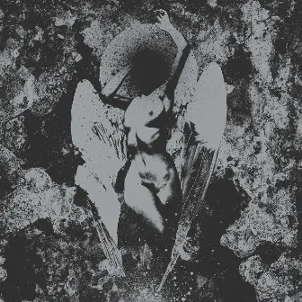 Converge / Dropdead Split by Converge