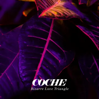 Bizarre Love Triangle by Coche