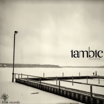 Nocturnes by Iambic