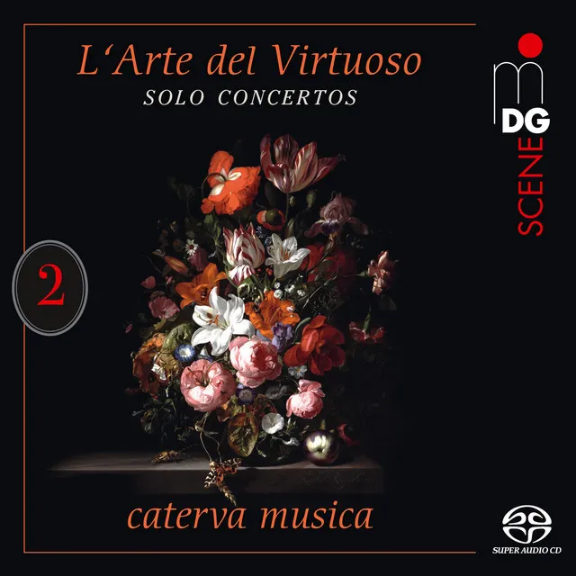 Concerto for Orchestra and Violin in A Major: I. Allegro un poco