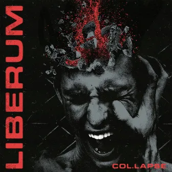 Col·Lapse by Liberum