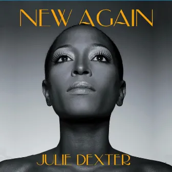 New Again by Julie Dexter