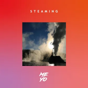 Steaming by Meyo