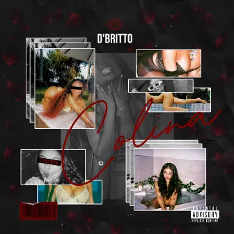 Colina by D Britto Mc