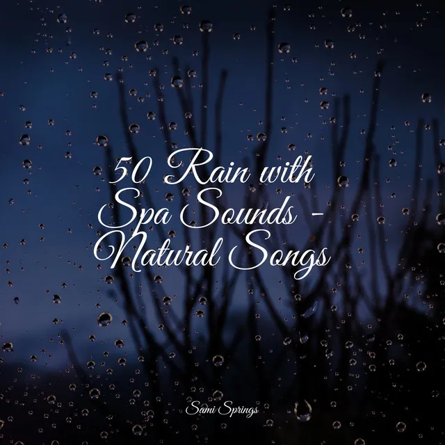 50 Rain with Spa Sounds - Natural Songs