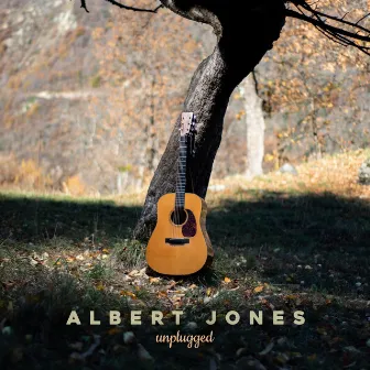 Unplugged by Albert Jones