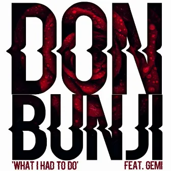 What I Had to Do by Don Bunji