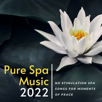 Pure Spa Music 2022: No Stimulation Spa Songs for Moments of Peace by Soothing Motion