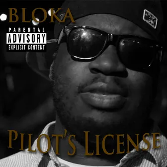 Pilot's License by Bloka