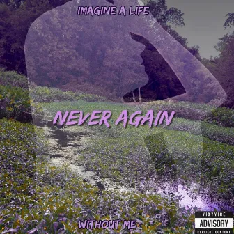 Never Again by vixyvice