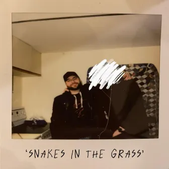 Snakes In The Grass by Matt Yonge