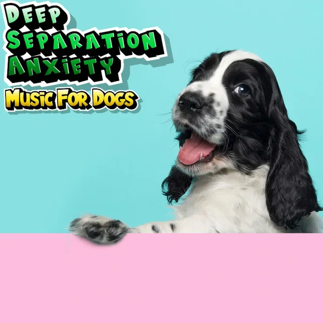 Music for Dogs