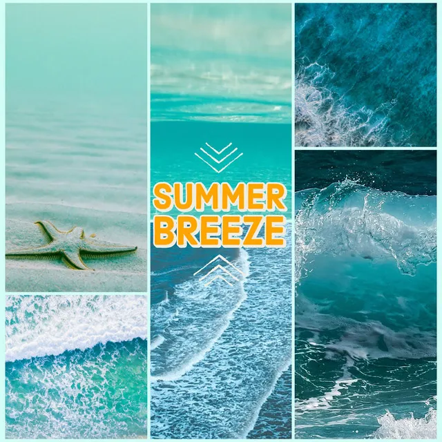 Summer Breeze