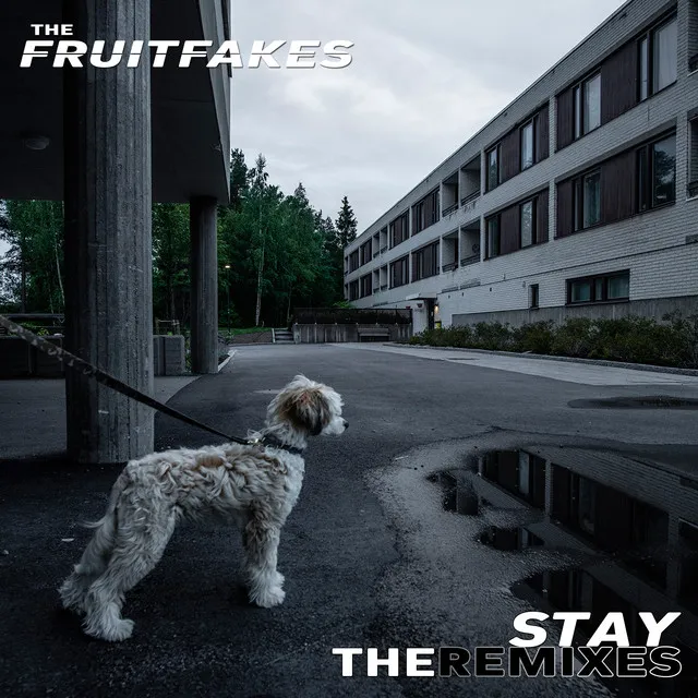 Stay (The Remixes)