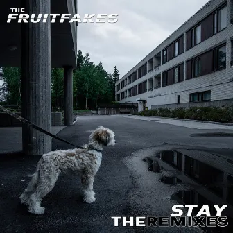 Stay (The Remixes) by The Fruitfakes