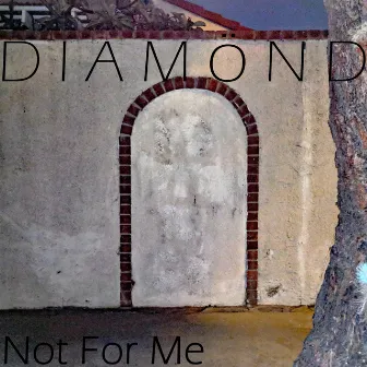 Not for Me by Diamönd