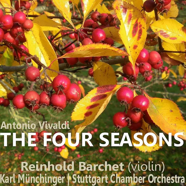 The Four Seasons: No. 4 Winter: II. Largo