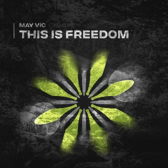 This Is Freedom by May Vic