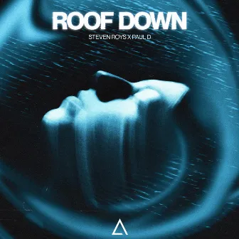 Roof Down by Steven Roys