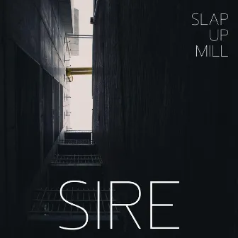 Sire by Slap Up Mill