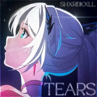 Tears by shardkill