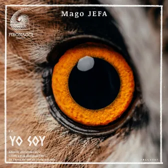 Yo Soy (Original Mix) by Mago Jefa