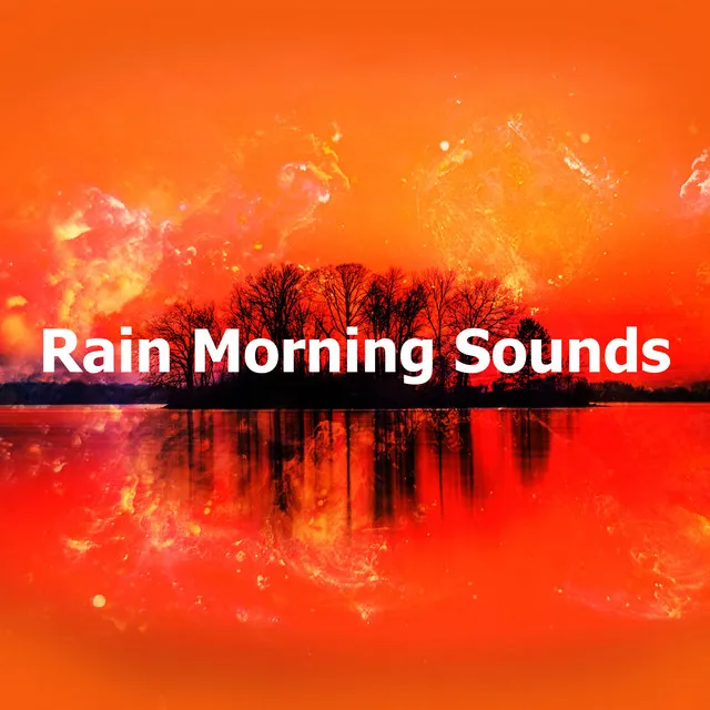 Rain Morning Sounds