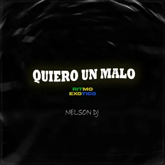 Quiero un Malo Ritmo Exótico by Nelson Dj