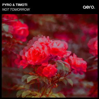 Not Tomorrow by Pyro