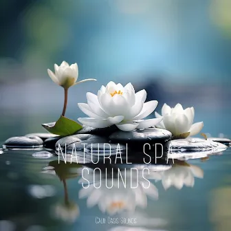 Natural Spa Sounds for Ultimate Tranquility by Calm Oasis Sounds