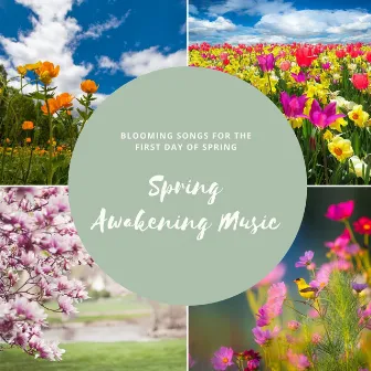 Spring Awakening Music: Blooming Songs for the First Day of Spring by Spring Juice