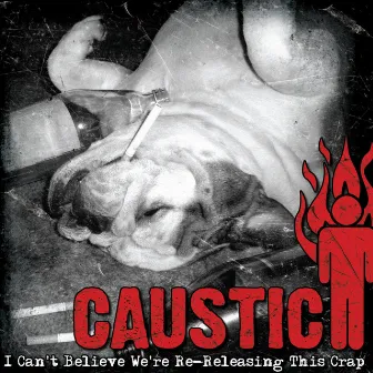 I Can't Believe We're Re-Releasing This Crap by Caustic